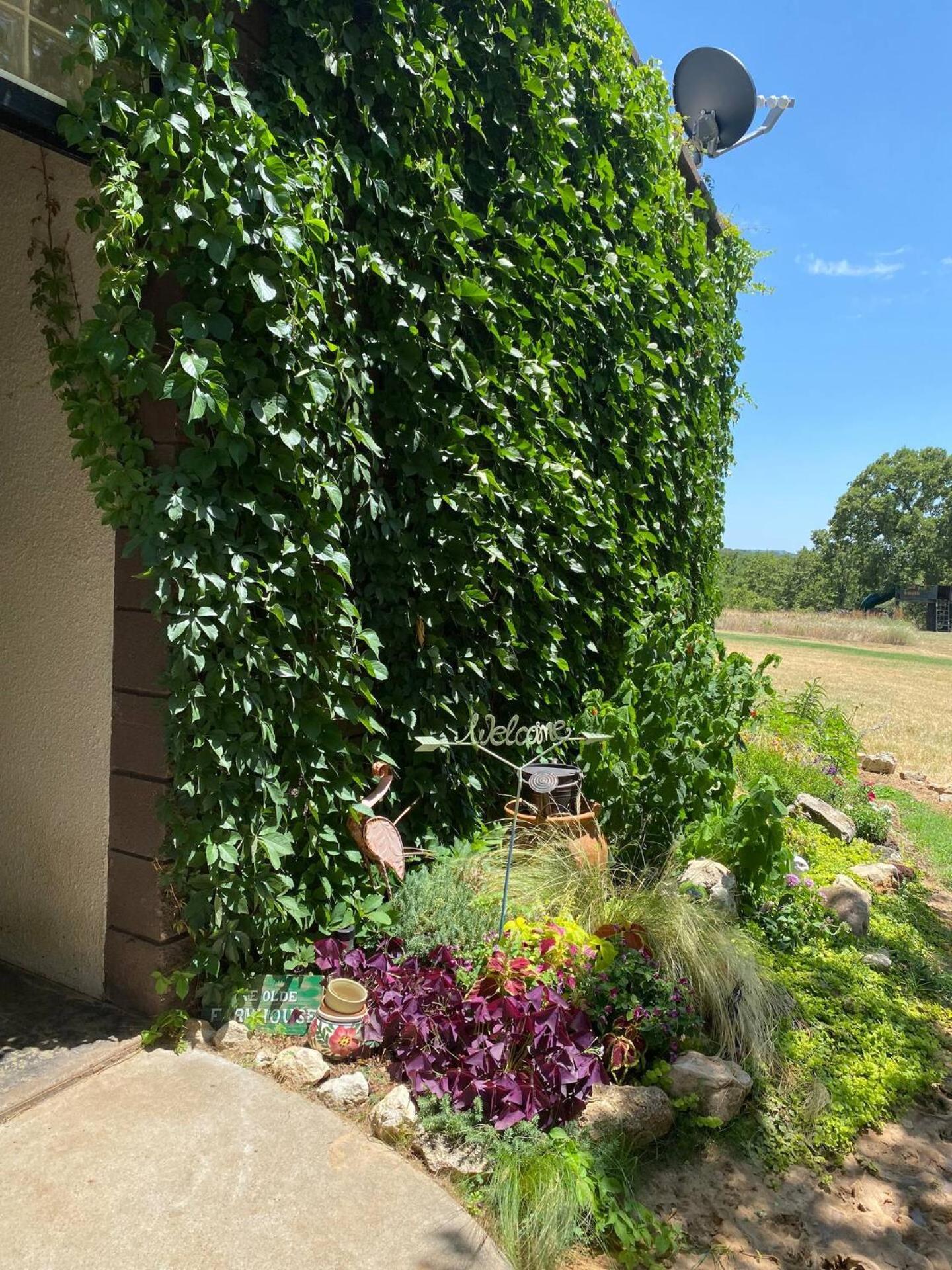 Nature Retreateclectic Country Boho Farmhouse Nocona Екстериор снимка